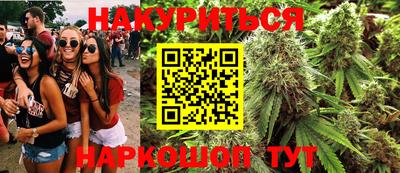 альфа пвп Заводоуковск
