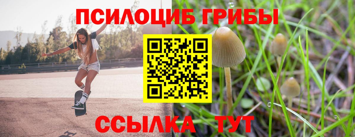 Псилоцибиновые грибы GOLDEN TEACHER  Псилоцибиновые грибы мухоморы  Вход с VPN  Курчатов 